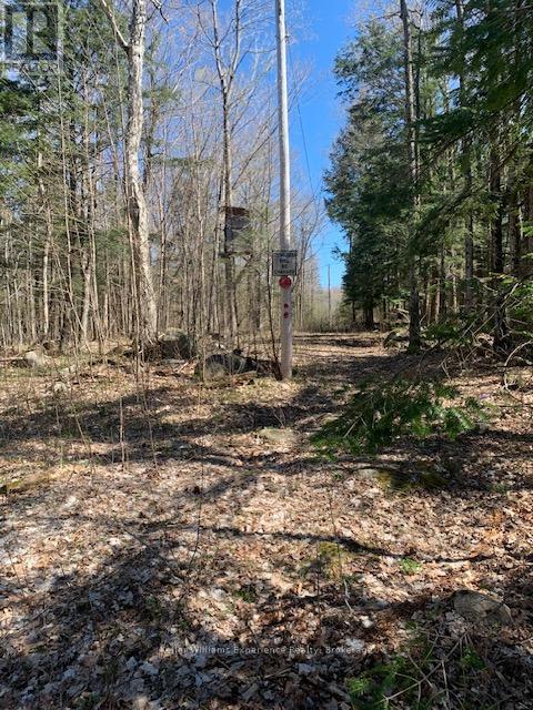 2442 Champlain Road, Tiny, Ontario  L9M 0C9 - Photo 38 - S11989627