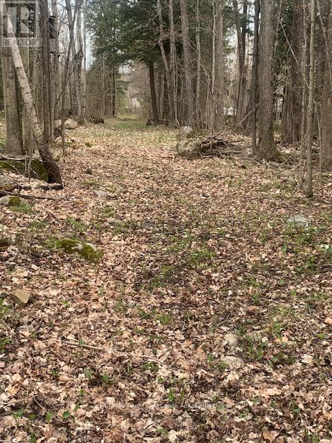2442 Champlain Road, Tiny, Ontario  L9M 0C9 - Photo 39 - S11989627