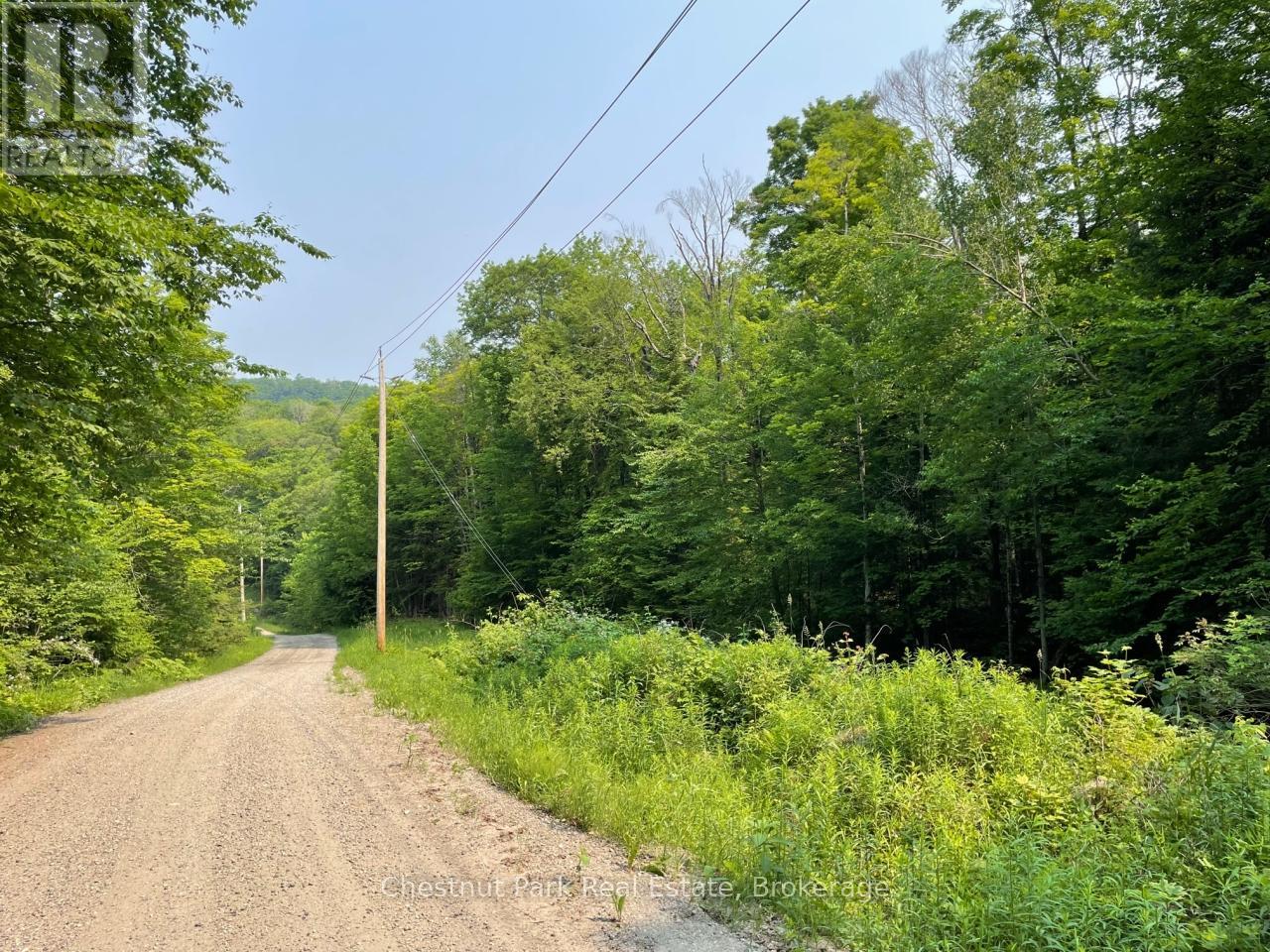0 Coleman Lake Road, Dysart Et Al, Ontario  K0M 1S0 - Photo 4 - X12238390