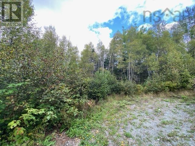 Lot 104 Highway, Linacy, Nova Scotia