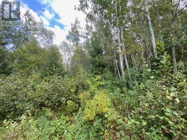 Lot 104 Highway, Linacy, Nova Scotia  B2H 5C4 - Photo 3 - 202515361