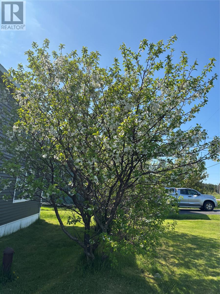 16 Penney Lane, Fogo Island-Little Seldom, Newfoundland & Labrador  A0G 3Z0 - Photo 37 - 1283774