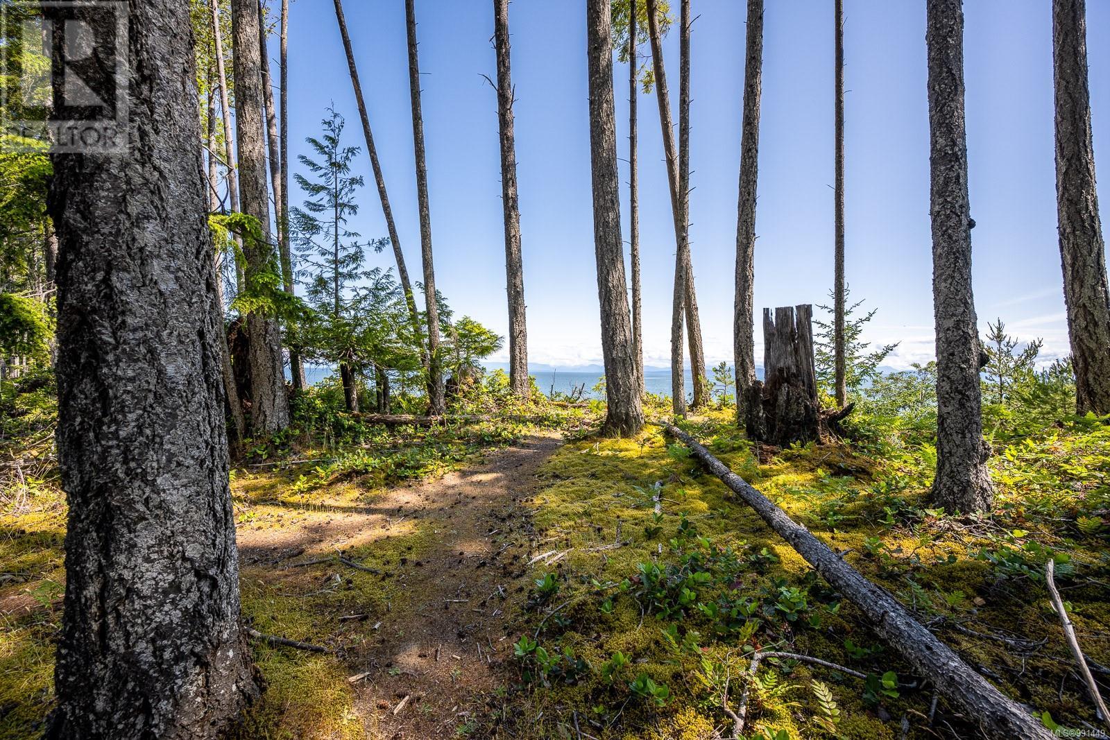 7300 The Point Rd, Denman Island, British Columbia  V0R 1T0 - Photo 66 - 991449