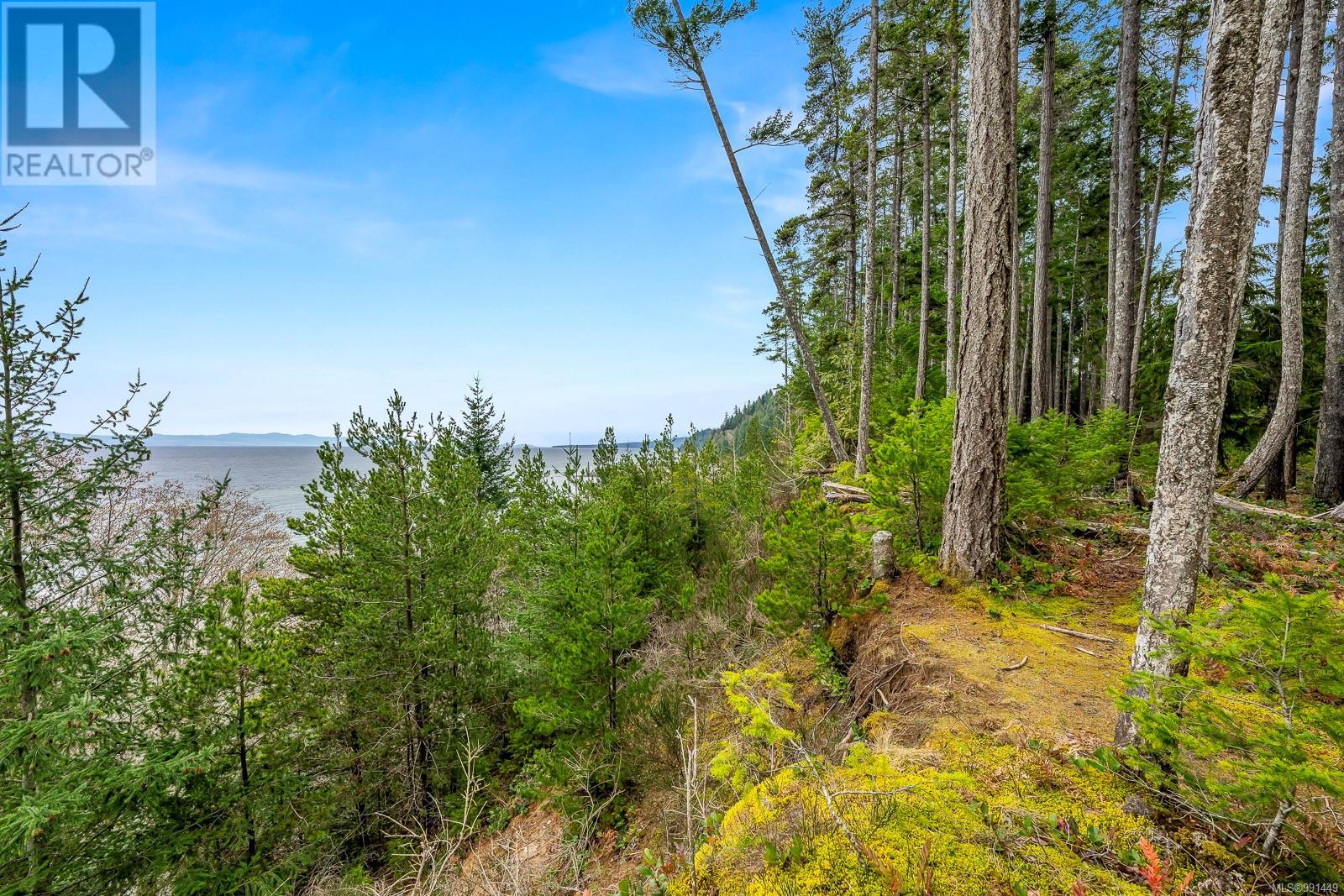7300 The Point Rd, Denman Island, British Columbia  V0R 1T0 - Photo 67 - 991449