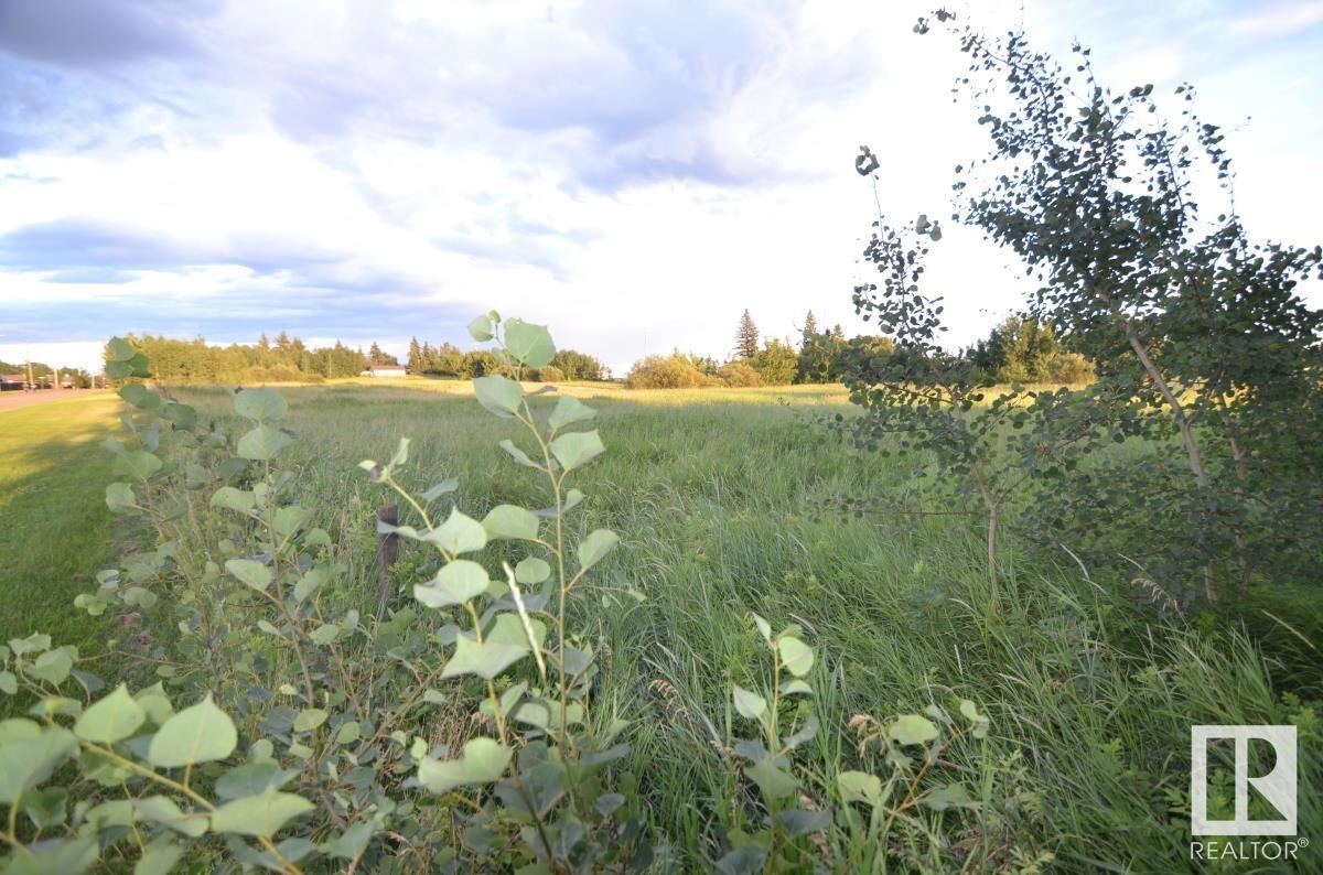 5619 53 Av, Tofield, Alberta  T0B 4J0 - Photo 3 - E4443785