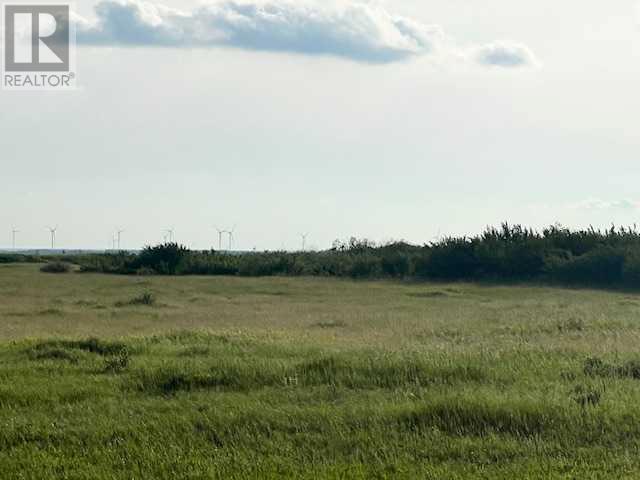 37232 Rr135, Rural Paintearth No. 18, Alberta  T0B 0X0 - Photo 6 - A2233581