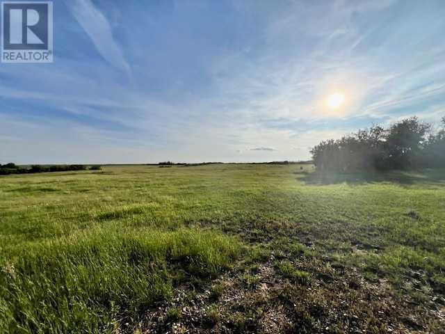 37232 Rr135, Rural Paintearth No. 18, Alberta  T0B 0X0 - Photo 2 - A2233581