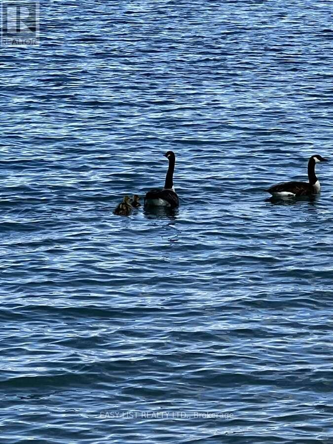 1758 River Road N, Chatham-Kent, Ontario  N8A 4K9 - Photo 29 - X11899599