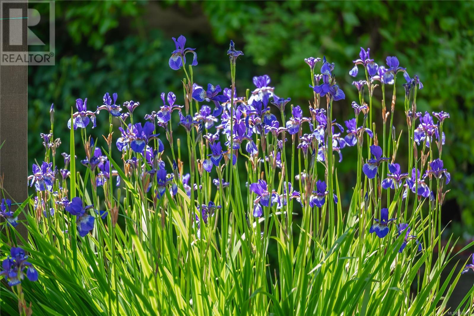 1664 Queequeg Trnabt, Gabriola Island, British Columbia  V0R 1X5 - Photo 76 - 1002177