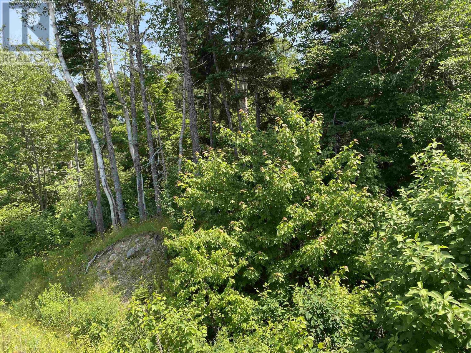 0 Cabot Trail, Tarbot, Nova Scotia  B0E 1B0 - Photo 2 - 202515385