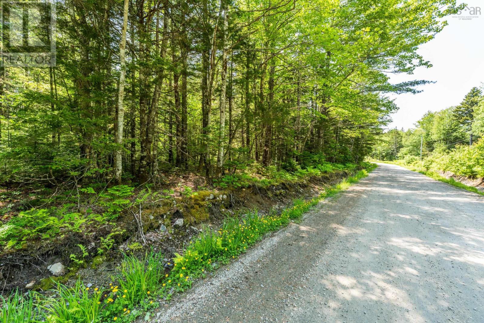 Lot 4 Depot Road, East Kemptville, Nova Scotia  B5A 5P7 - Photo 6 - 202515394