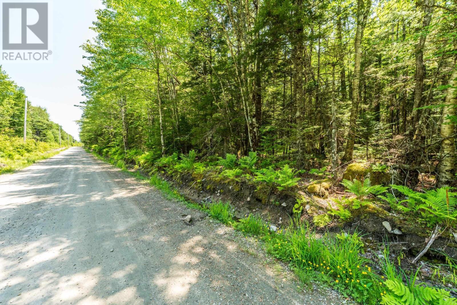 Lot 4 Depot Road, East Kemptville, Nova Scotia  B5A 5P7 - Photo 7 - 202515394