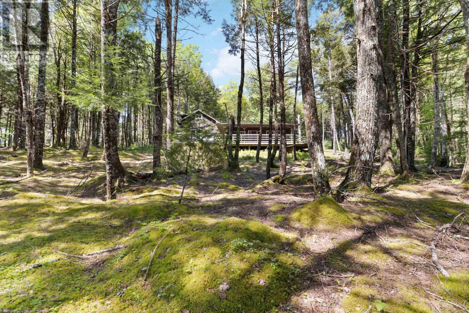 87 Edith's Point Road, South Brookfield, Nova Scotia  B0T 1K0 - Photo 38 - 202500734