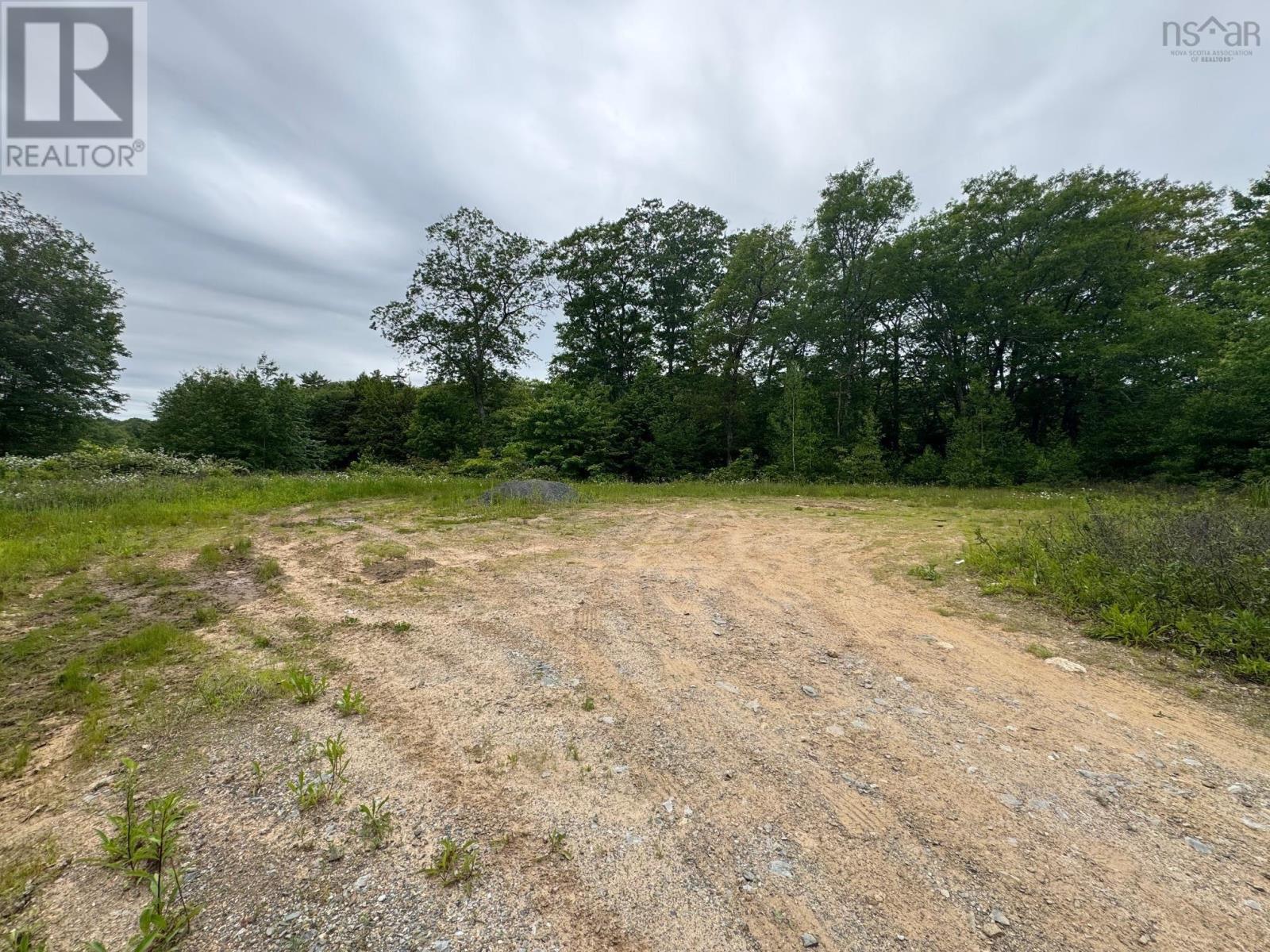 A Lot Highway 10, Cookville, Nova Scotia  B4V 2W1 - Photo 11 - 202515406