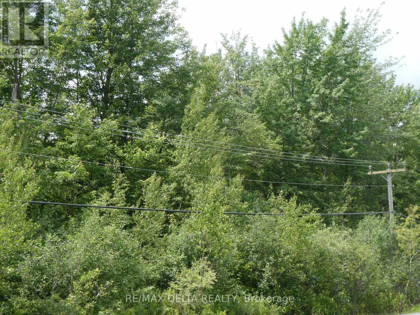 0000 County Road 15 Road, North Stormont, Ontario  K0C 1Y0 - Photo 3 - X12133113