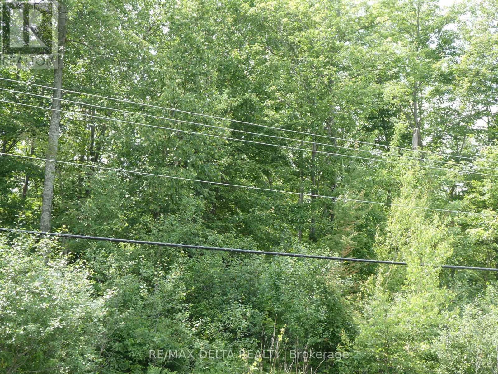 0000 County Road 15 Road, North Stormont, Ontario  K0C 1Y0 - Photo 4 - X12133113