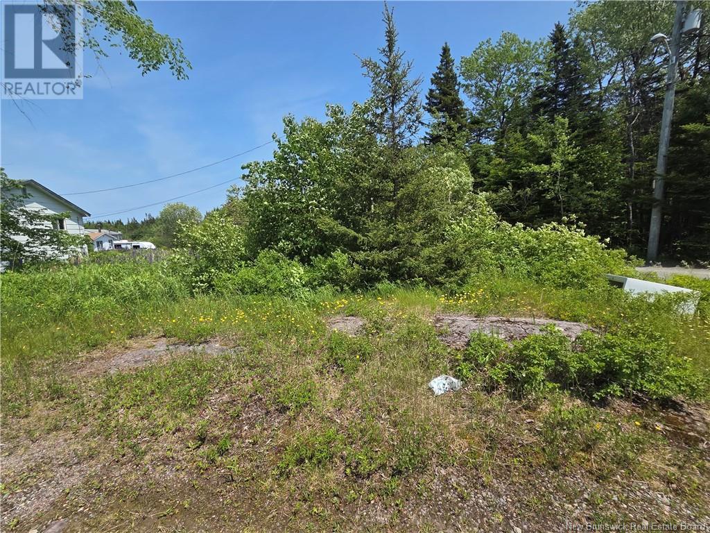 159 Goldsworthy Road, Saint John, New Brunswick  E2J 4V1 - Photo 27 - NB121139