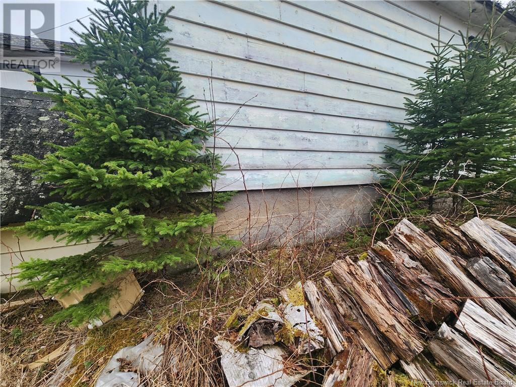 218 Route 4, Harvey, New Brunswick  E6K 1W8 - Photo 14 - NB121141