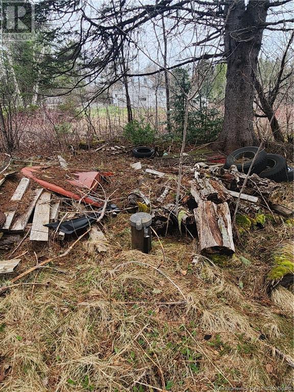 218 Route 4, Harvey, New Brunswick  E6K 1W8 - Photo 15 - NB121141