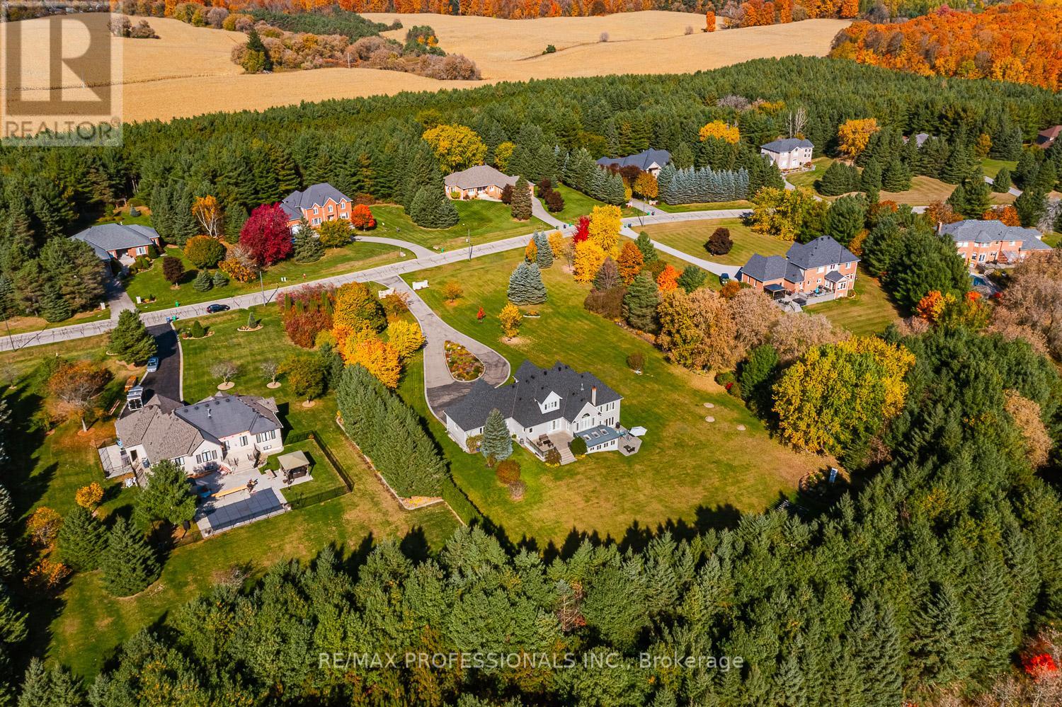 Property at 63 ROWLEY DRIVE image 4