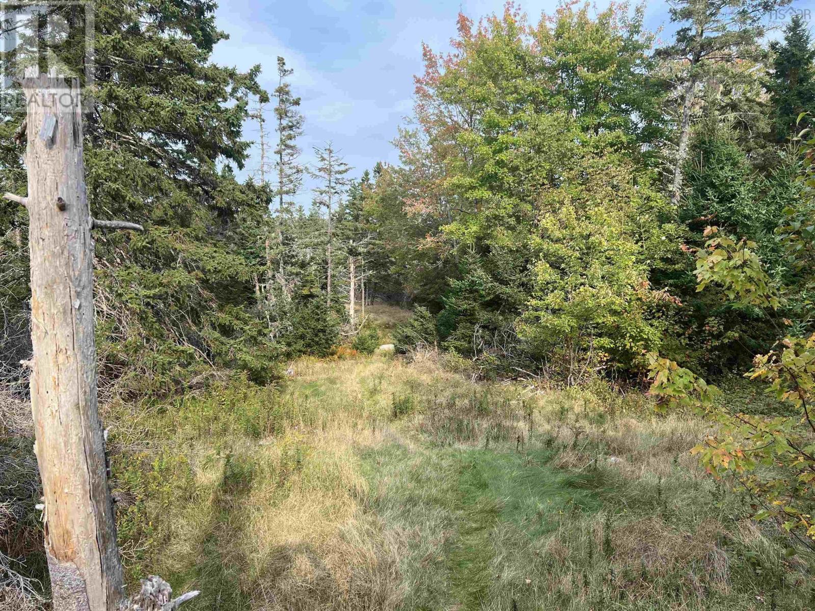 390 Conrads Road, Hubbards, Nova Scotia  B0J 1T0 - Photo 6 - 202422293