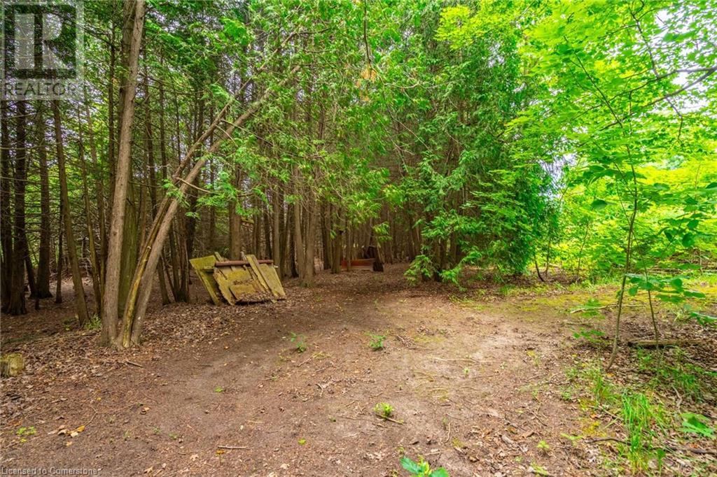 803148 Puddicombe Lane, Chatsworth, Ontario  N0H 1G0 - Photo 45 - 40744326