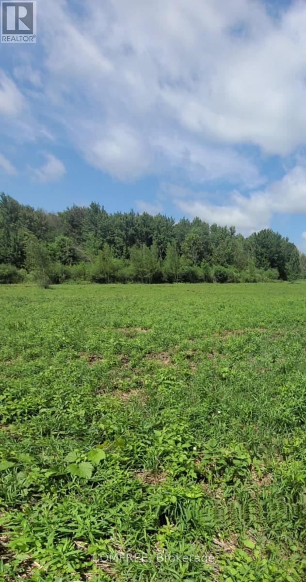 000 Willy Allan Road, South Stormont, Ontario  K0C 1R0 - Photo 2 - X12240175