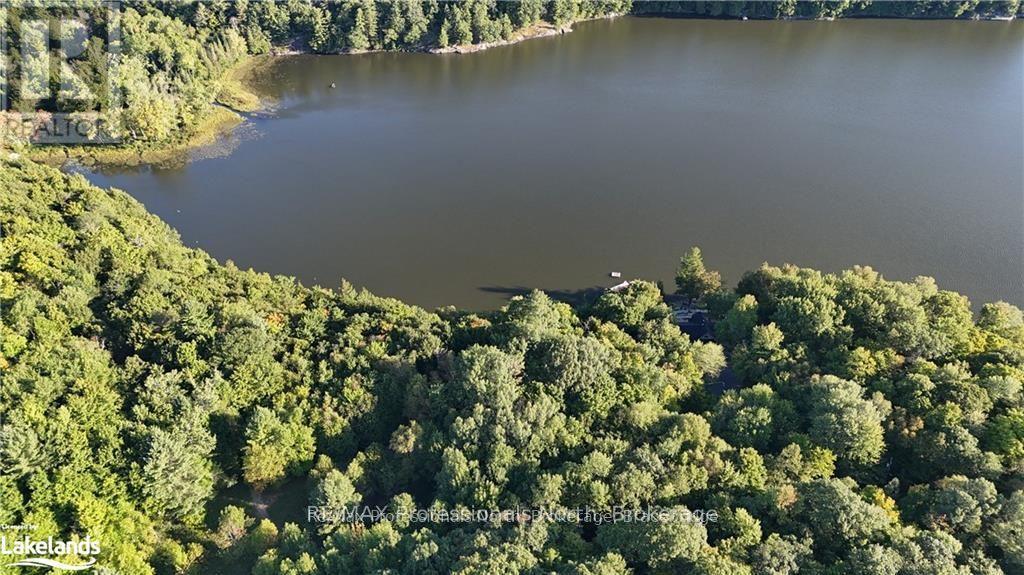 1505 North Shore Road, Muskoka Lakes, Ontario  P0B 1M0 - Photo 6 - X12240050