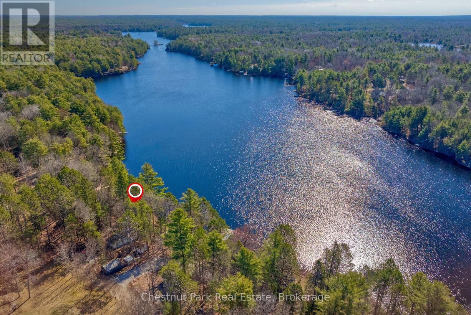1038 Fitchett Lane, Gravenhurst, Ontario  P1P 1R3 - Photo 6 - X12240526