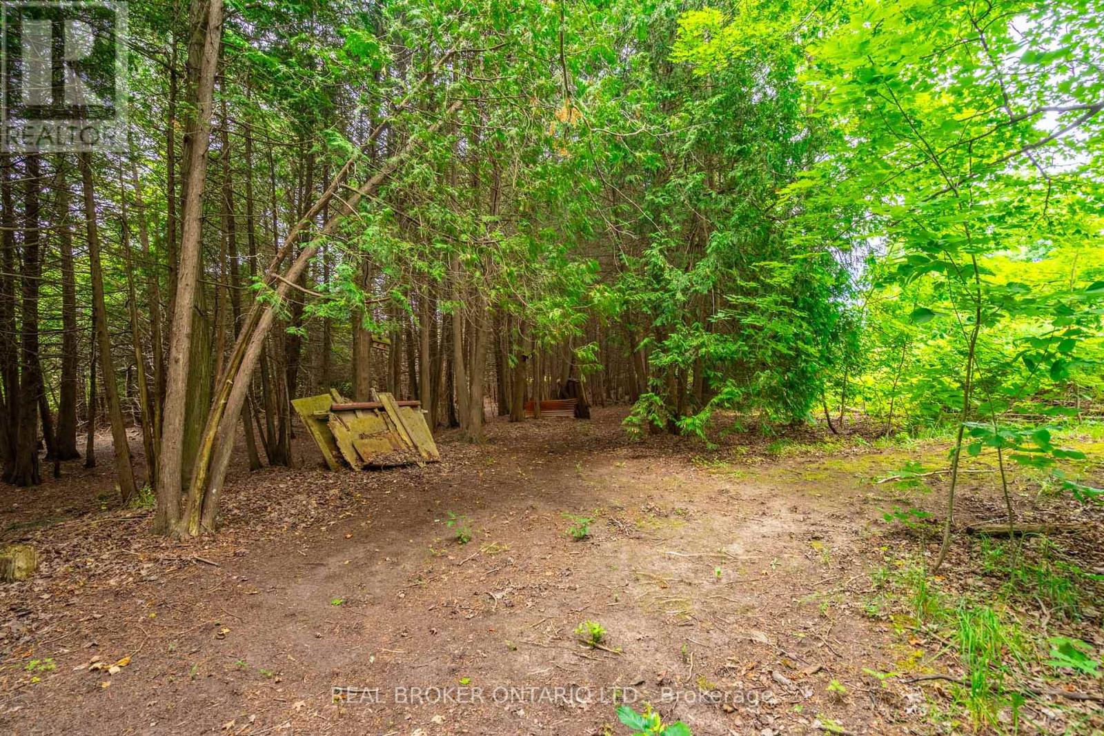 803148 Puddicombe Lane, Chatsworth, Ontario  N0H 1G0 - Photo 45 - X12240556