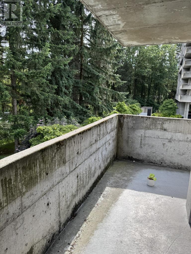 203 3755 Bartlett Court, Burnaby, British Columbia  V3J 7G7 - Photo 13 - R3017290