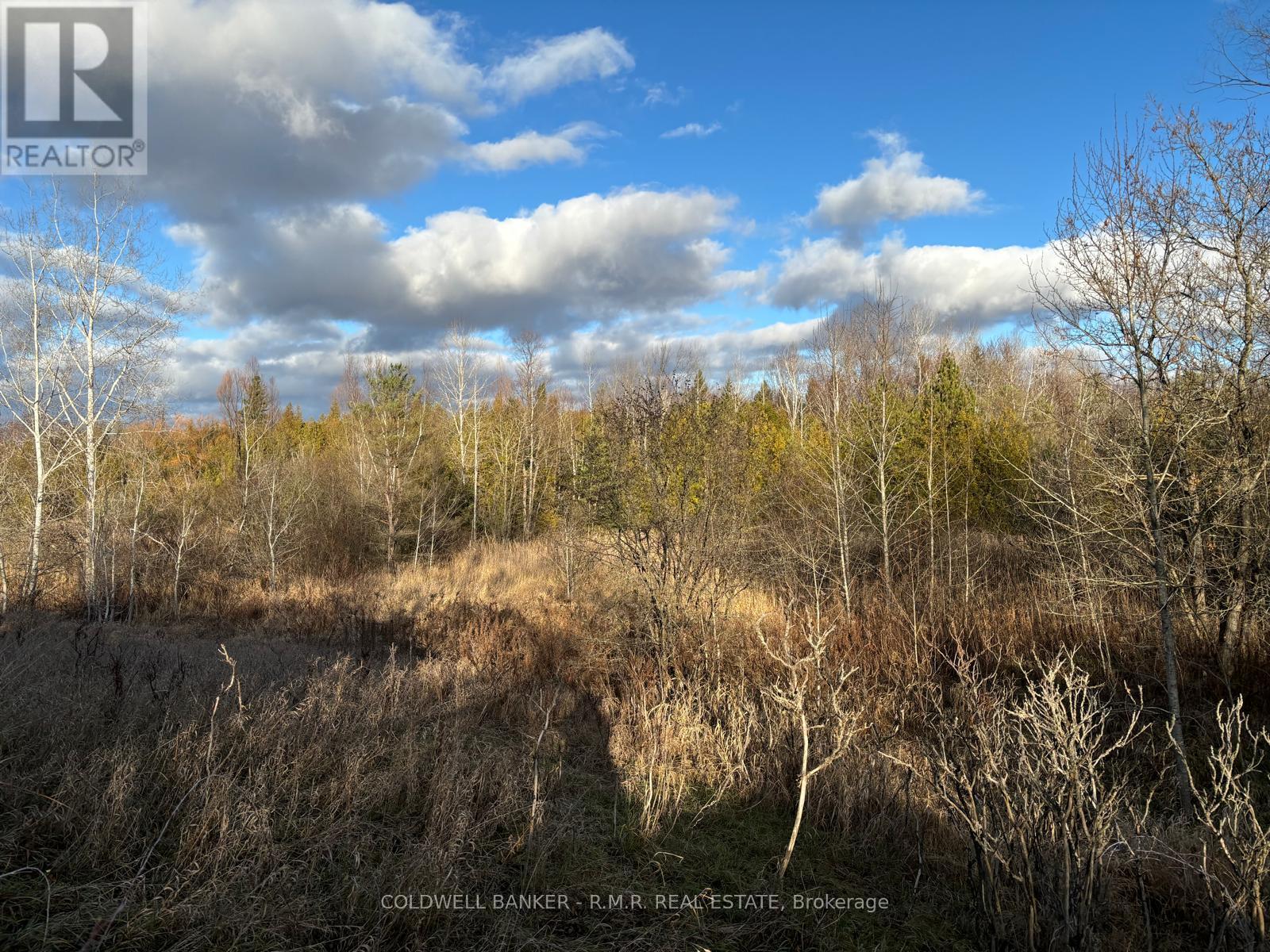 B1995 Concession 7 Road E, Brock, Ontario  L0K 1A0 - Photo 16 - N11473488