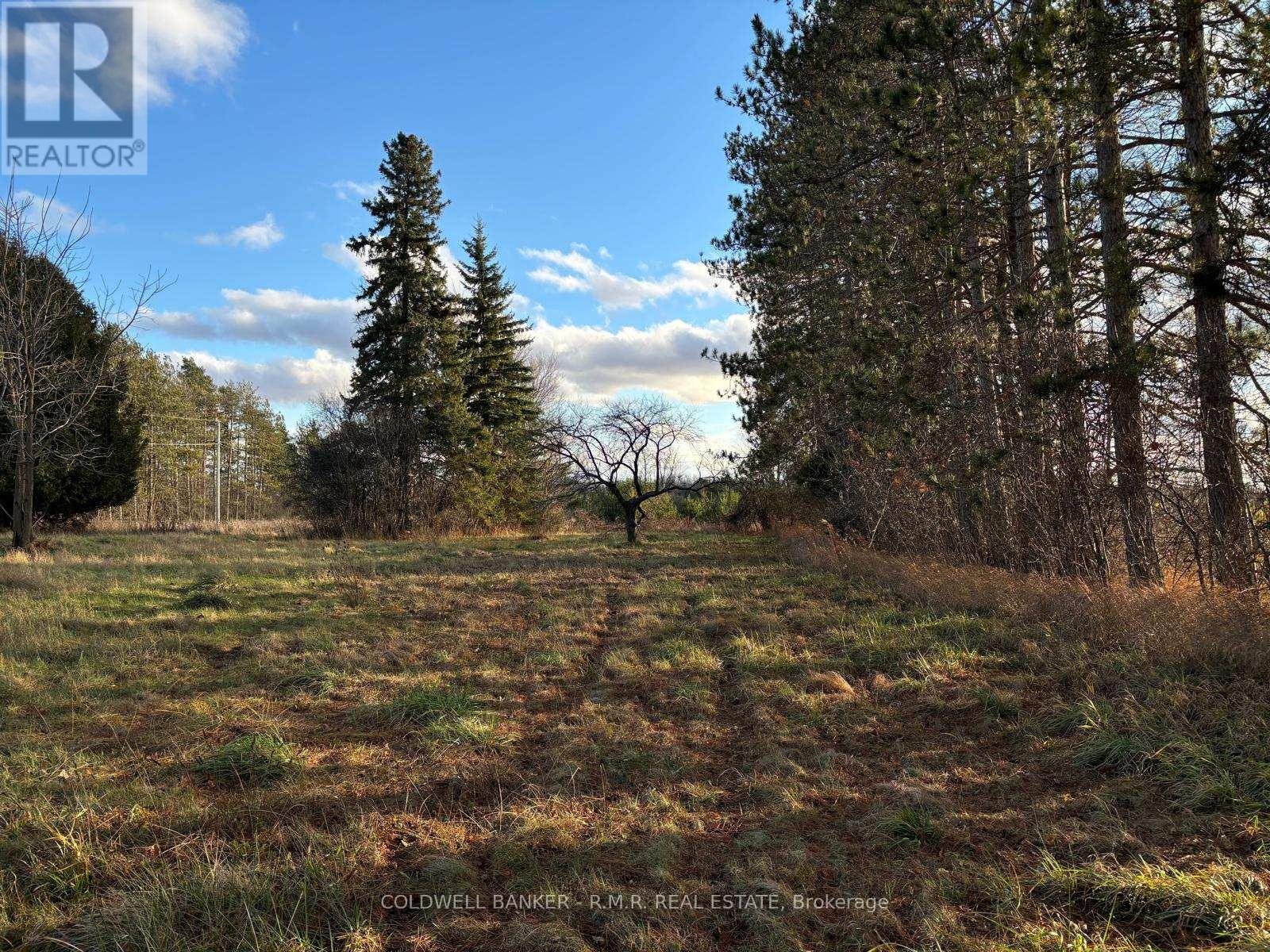 B1995 Concession 7 Road E, Brock, Ontario  L0K 1A0 - Photo 17 - N11473488