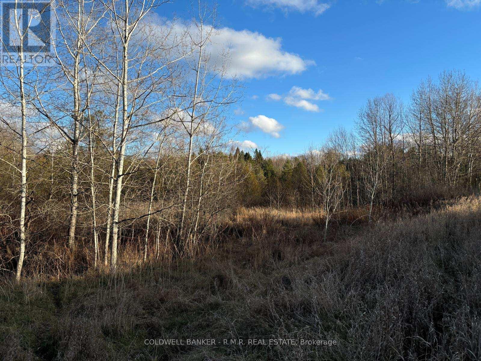 B1995 Concession 7 Road E, Brock, Ontario  L0K 1A0 - Photo 15 - N11473488