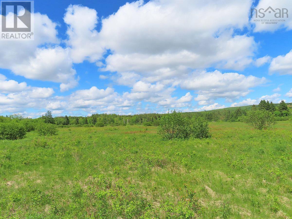 62 Acres West Side Road, West Side Country Harbour, Nova Scotia  B0H 1J0 - Photo 1 - 202407283