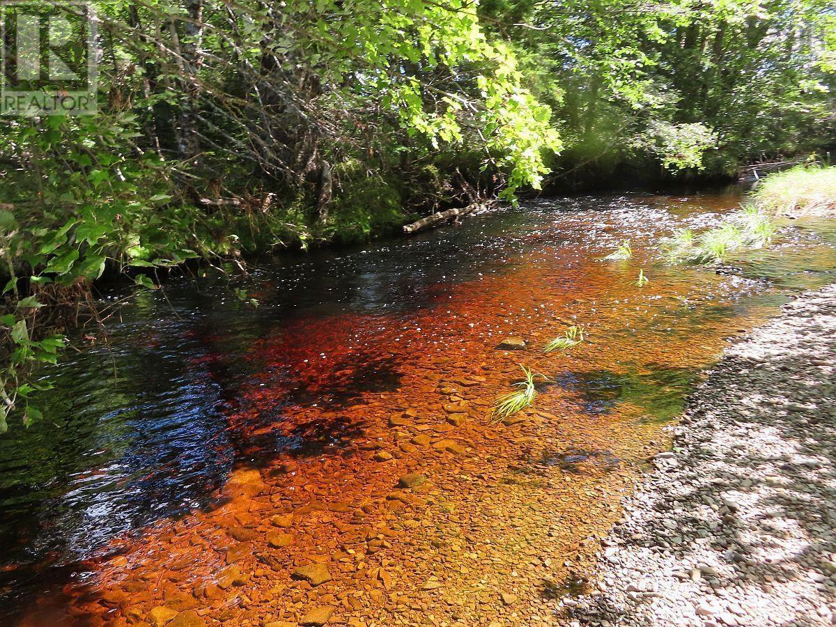 62 Acres West Side Road, West Side Country Harbour, Nova Scotia  B0H 1J0 - Photo 11 - 202407283