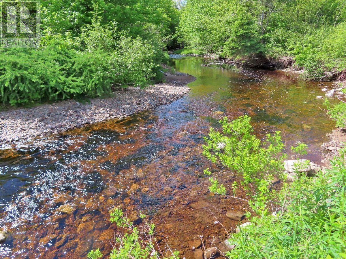 62 Acres West Side Road, West Side Country Harbour, Nova Scotia  B0H 1J0 - Photo 14 - 202407283