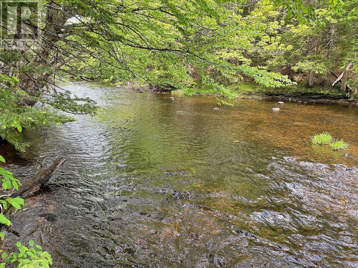 62 Acres West Side Road, West Side Country Harbour, Nova Scotia  B0H 1J0 - Photo 12 - 202407283