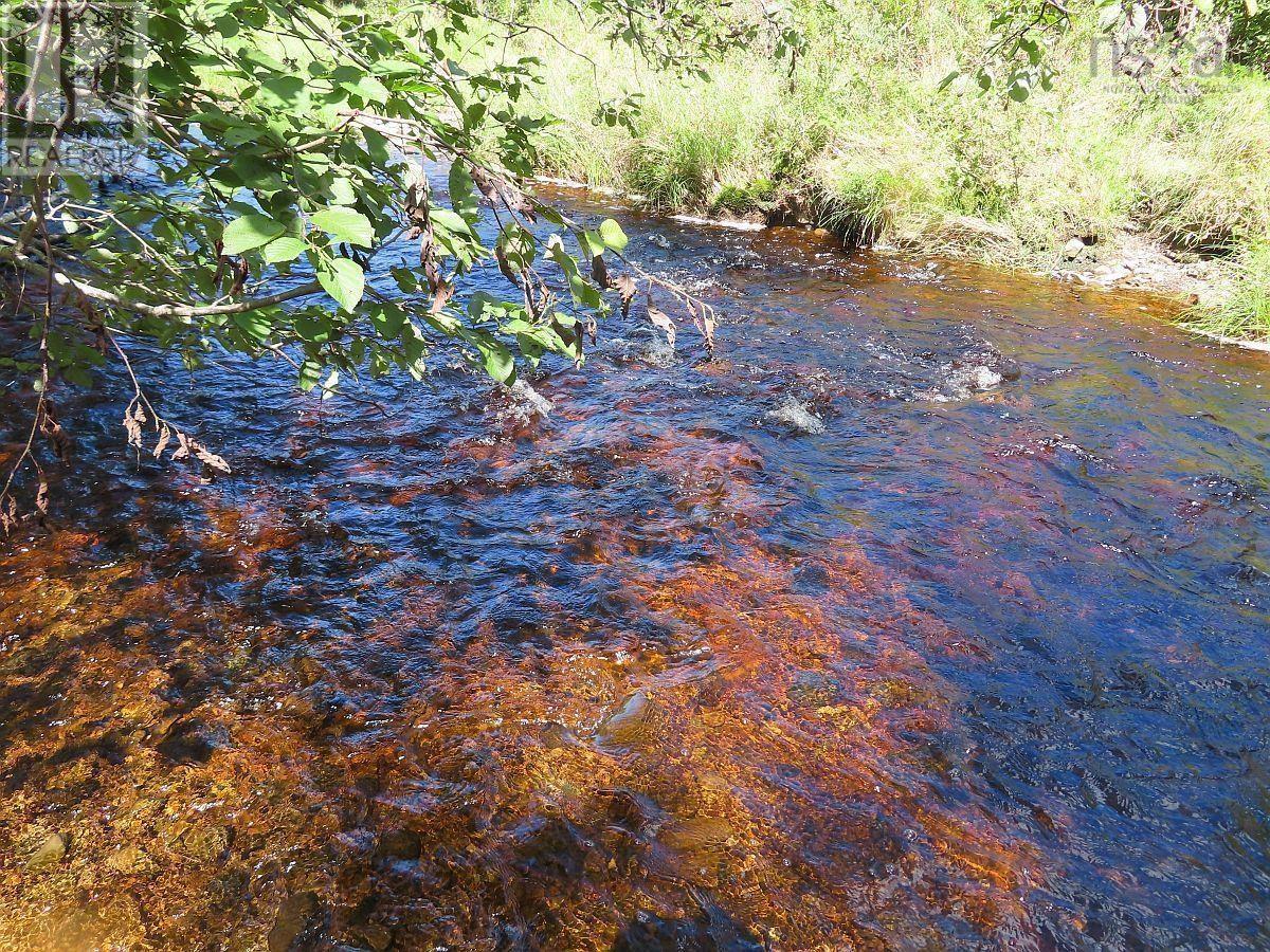 62 Acres West Side Road, West Side Country Harbour, Nova Scotia  B0H 1J0 - Photo 13 - 202407283