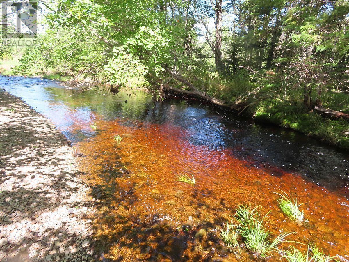 62 Acres West Side Road, West Side Country Harbour, Nova Scotia  B0H 1J0 - Photo 15 - 202407283