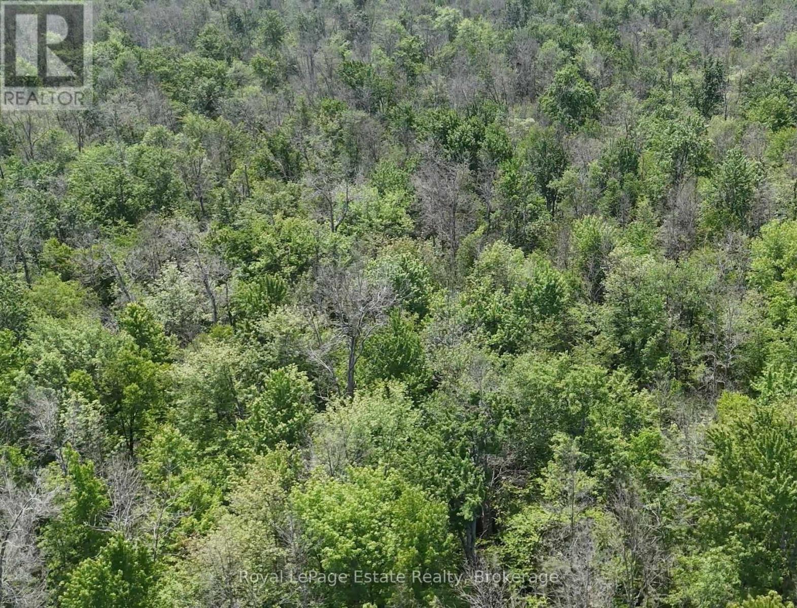 Pt Lt 36 & Pt Lt 37;  13 Concession, Arran-Elderslie, Ontario  N0H 1A0 - Photo 9 - X12240893