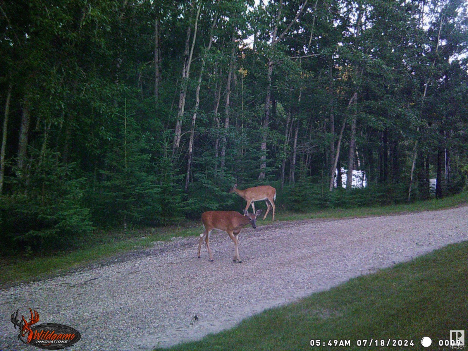 60550 Hwy 855, Rural Smoky Lake County, Alberta  T0A 3C0 - Photo 38 - E4443891