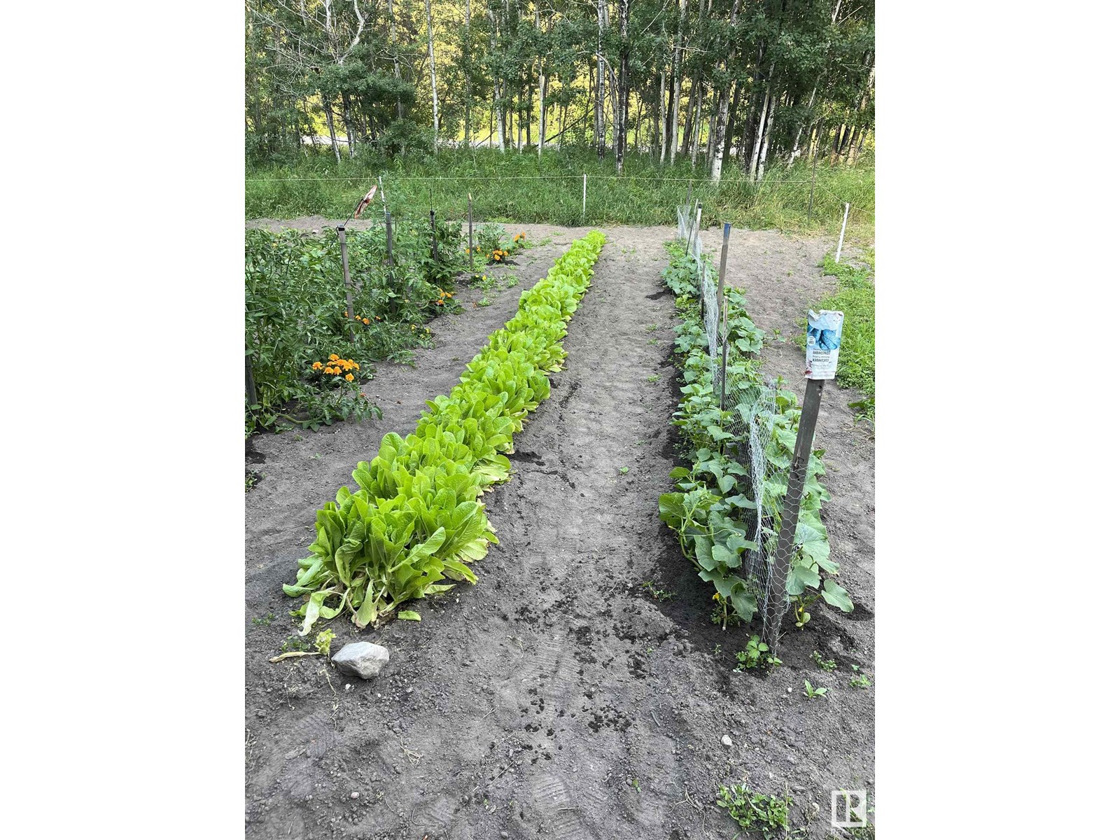 60550 Hwy 855, Rural Smoky Lake County, Alberta  T0A 3C0 - Photo 61 - E4443891