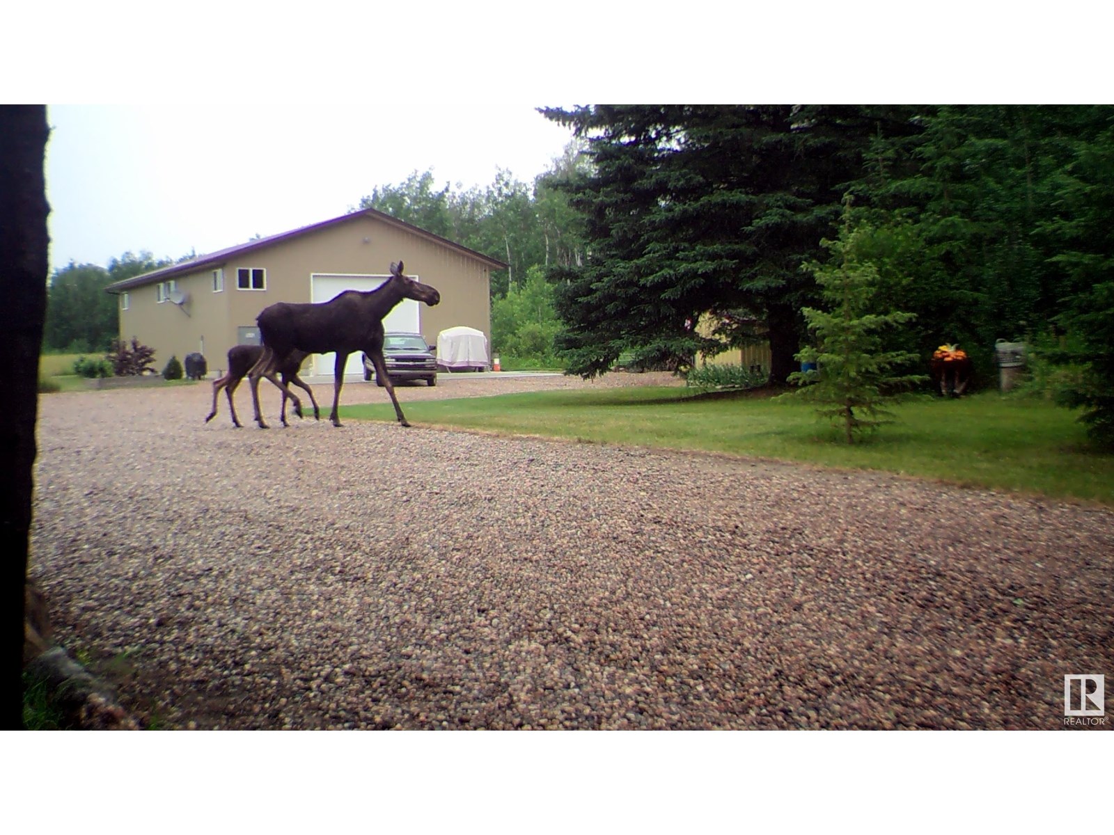 60550 Hwy 855, Rural Smoky Lake County, Alberta  T0A 3C0 - Photo 54 - E4443891