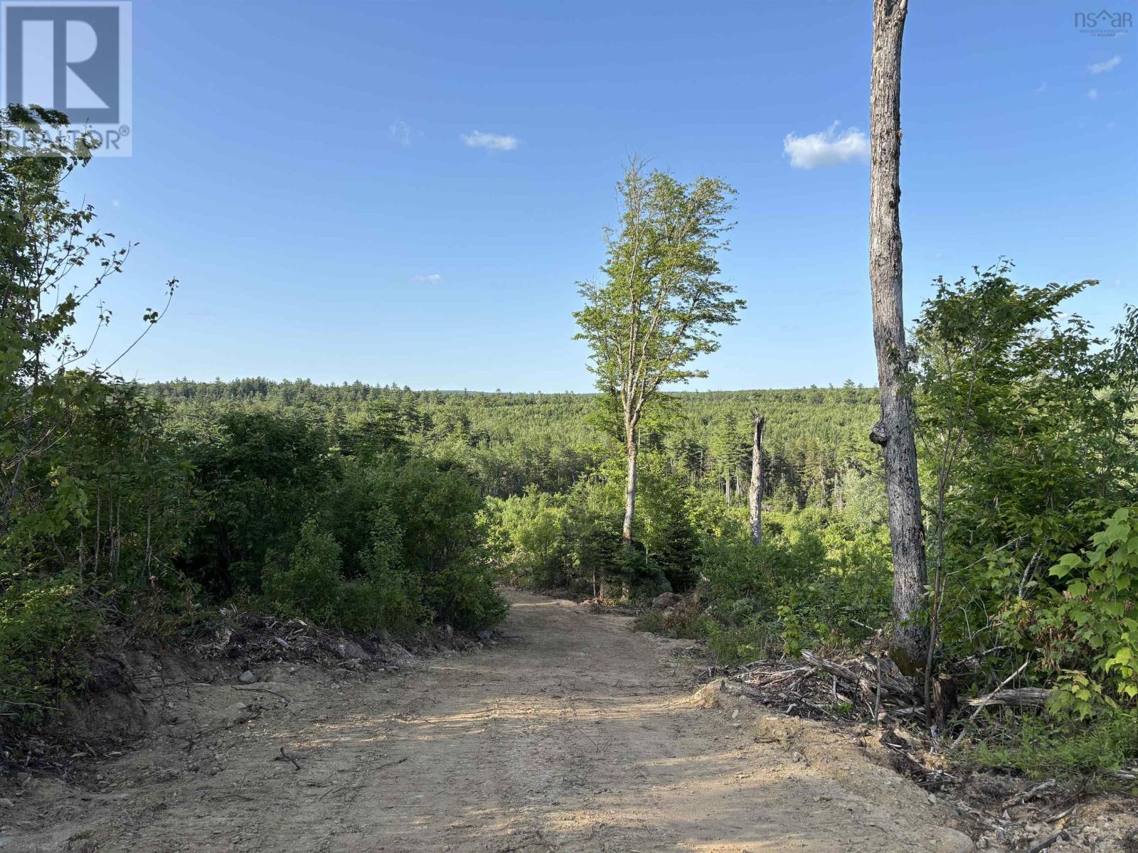Lot 1 Albany New Road, Albany New, Nova Scotia  B0T 1B0 - Photo 4 - 202515523