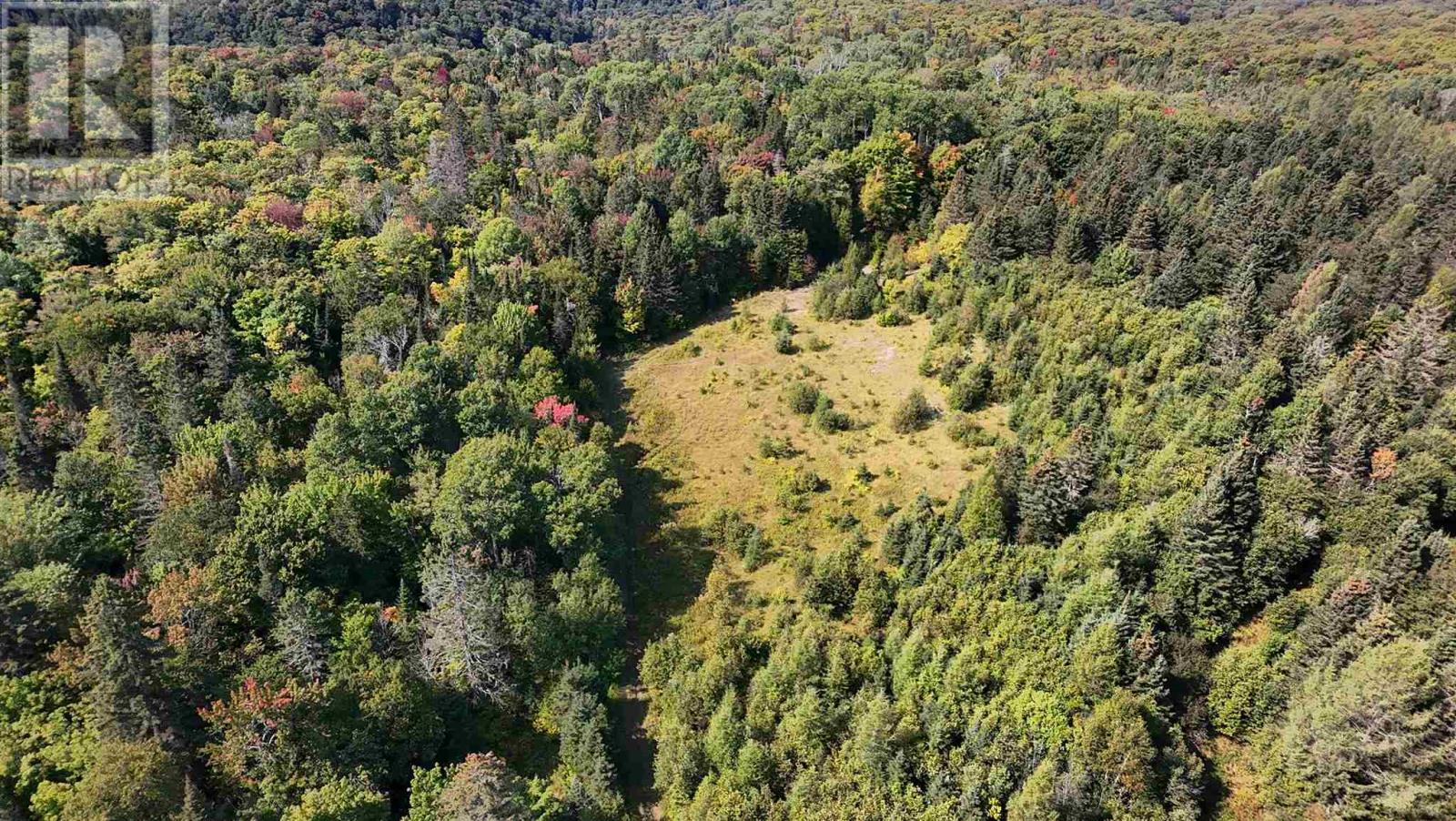 Pt Sec 37 & 38 Off Pickard Rd, Havilland, Ontario  P0S 1A0 - Photo 2 - SM251646