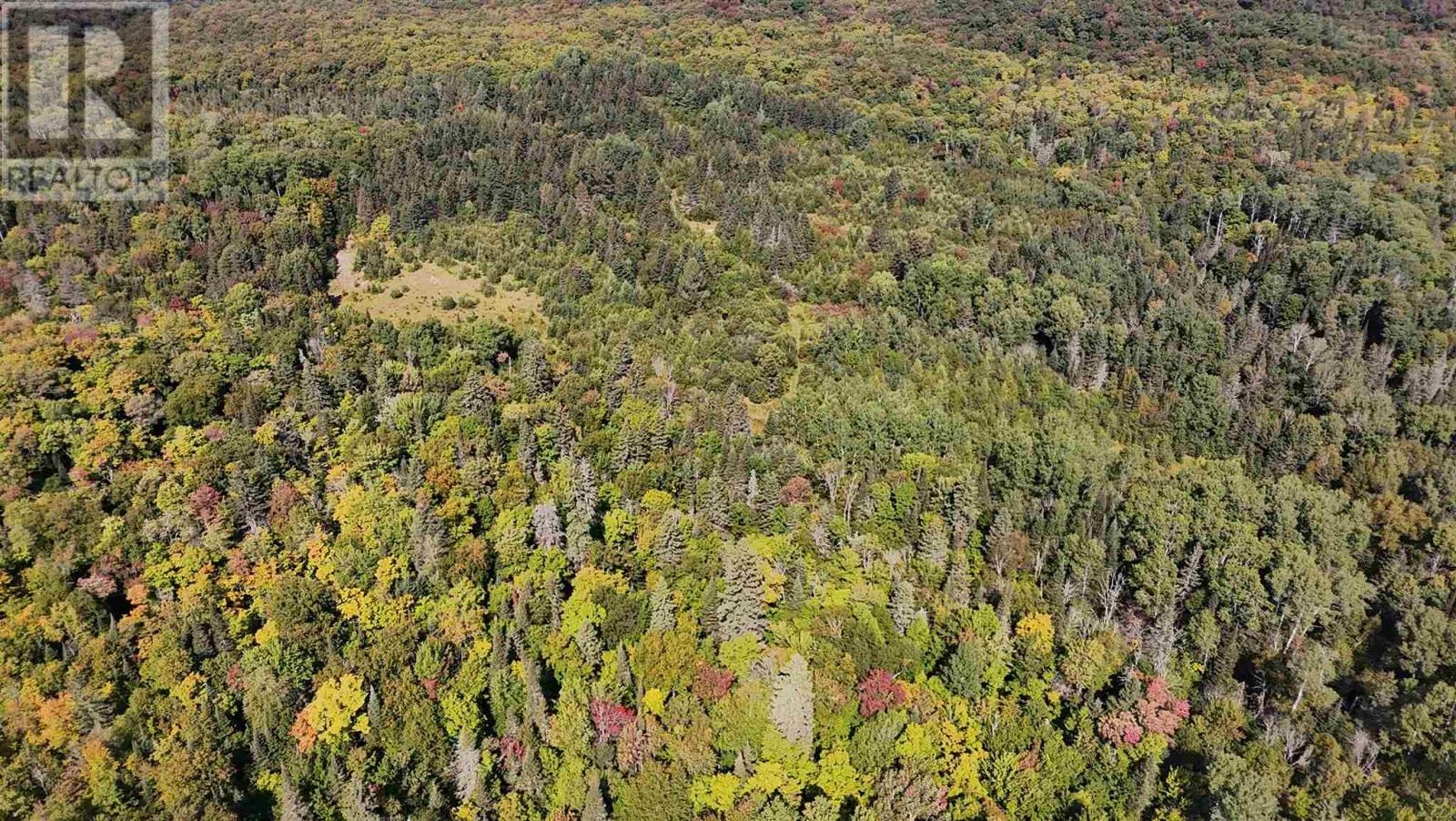 Pt Sec 37 & 38 Off Pickard Rd, Havilland, Ontario  P0S 1A0 - Photo 24 - SM251646