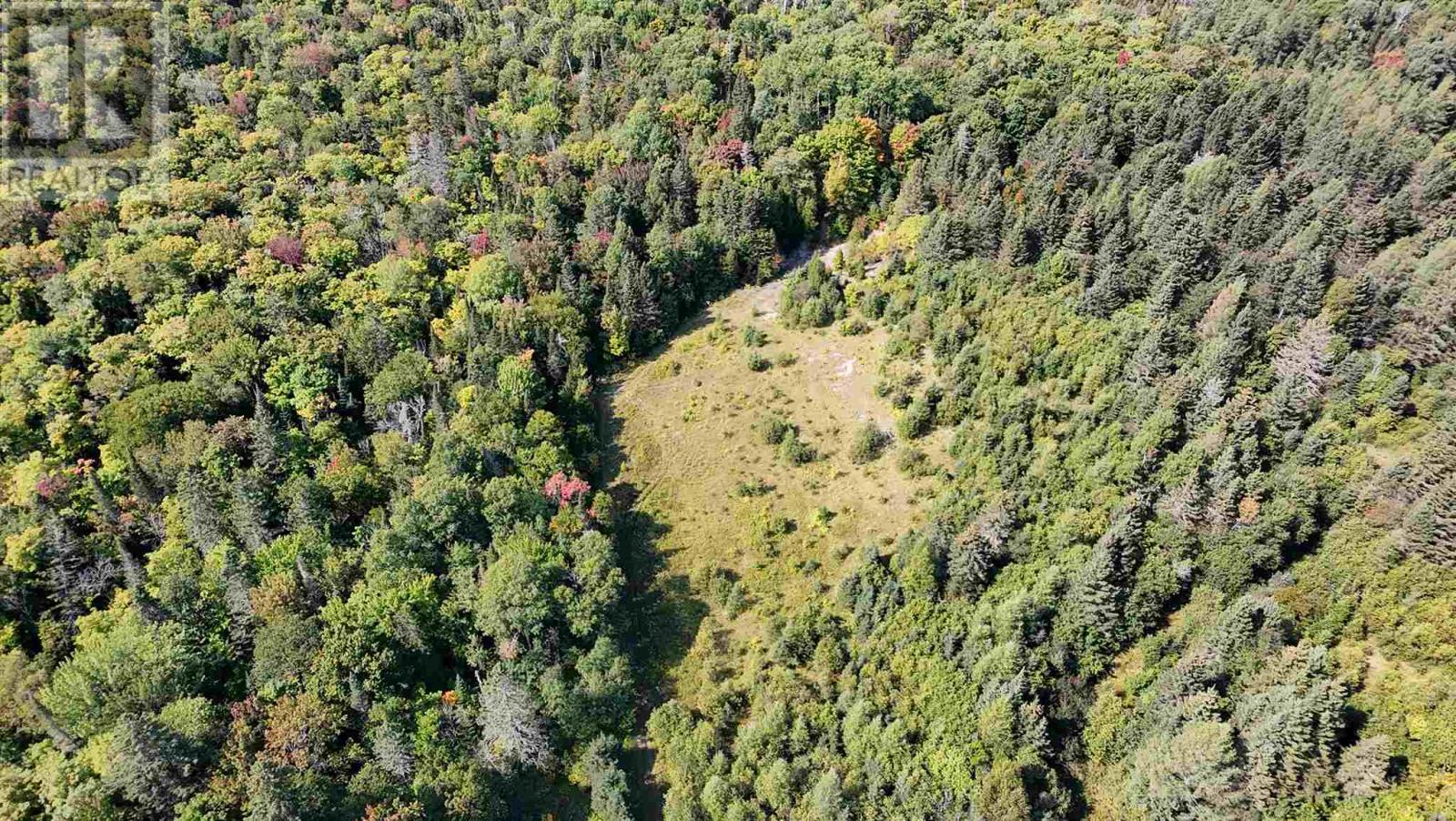 Pt Sec 37 & 38 Off Pickard Rd, Havilland, Ontario  P0S 1A0 - Photo 7 - SM251646