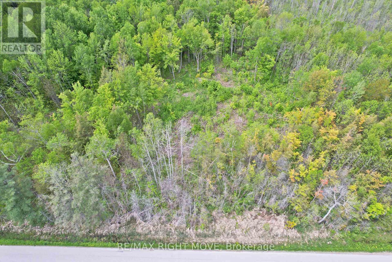 1382 Wilson Point Road, Severn, Ontario  L3V 7E1 - Photo 5 - S12241386