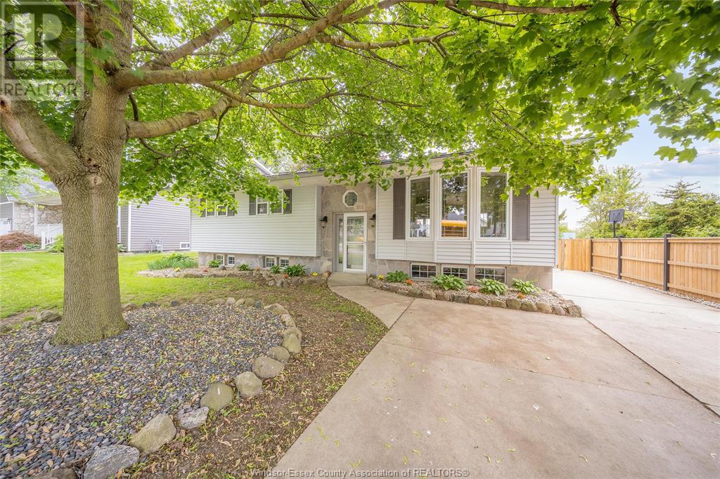 164 Munger Avenue, Harrow, Ontario  N0R 1G0 - Photo 3 - 25015940